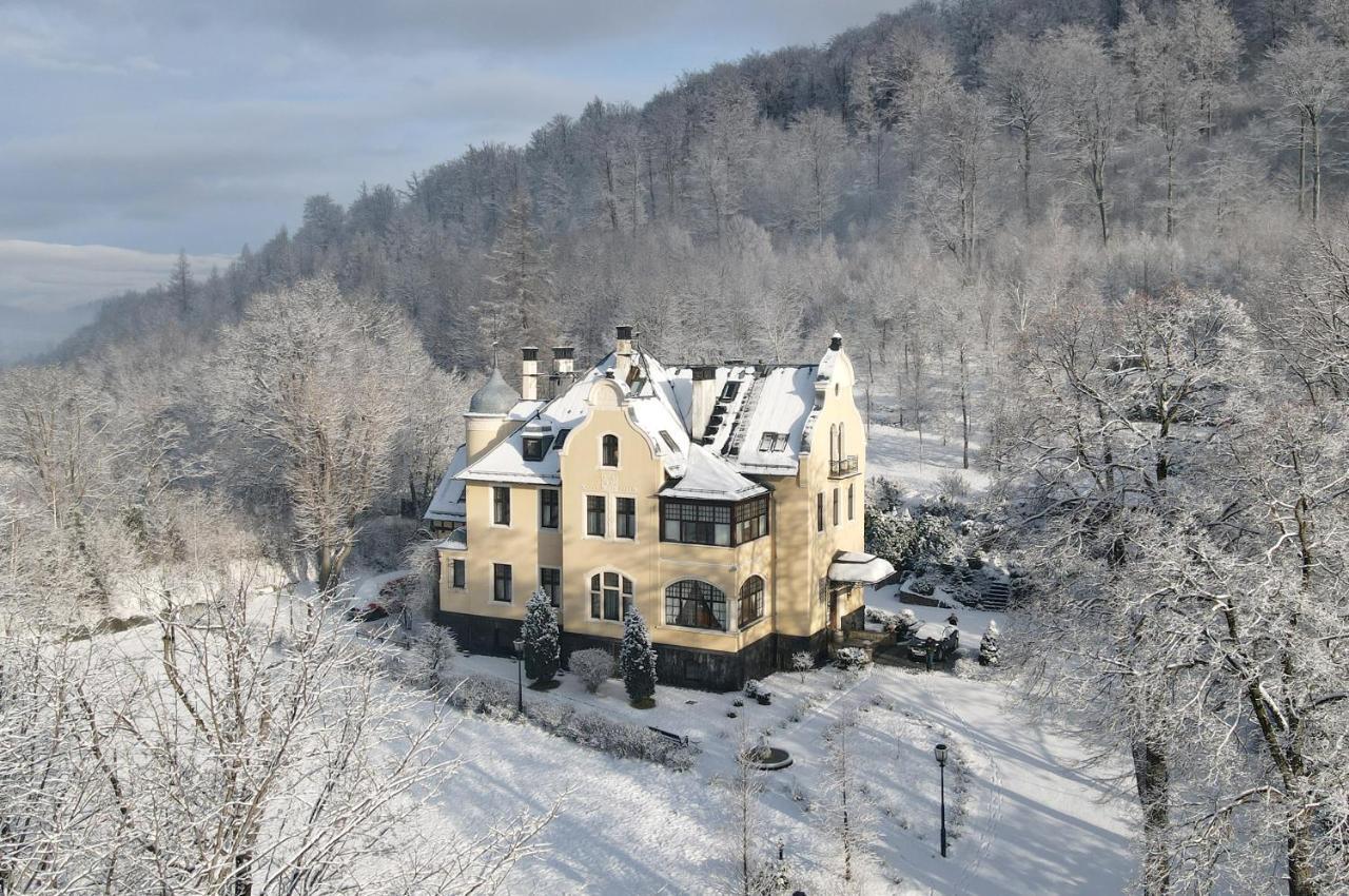 Villa Elise Park Pension Stronie Śląskie Exterior foto