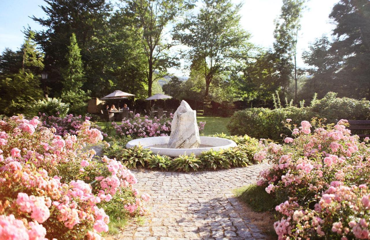 Villa Elise Park Pension Stronie Śląskie Exterior foto