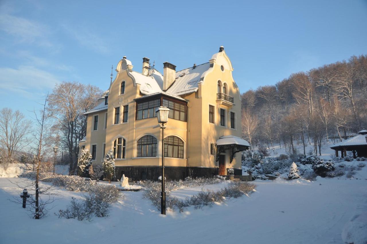 Villa Elise Park Pension Stronie Śląskie Exterior foto